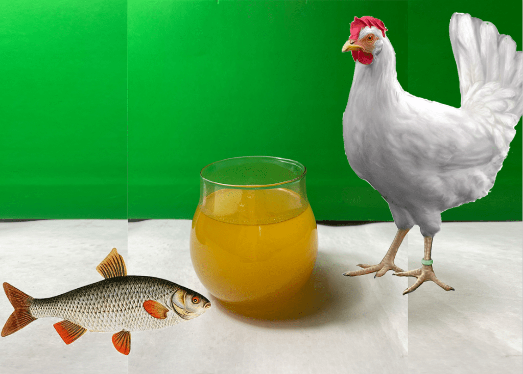 به روغن­ های حاصل از جانوران آبزیبا بوی فراوان که محتوی اسید چرب غیر اشباع و اشباع می باشند روغن ماهی می­ گویند.تالو مرغی، نوعی چربی حیوانی است که از بافت چربی مرغ ها به دست می آید.