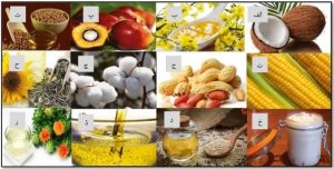 (الف) نارگیل، (ب) کلزا، (پ) پالم، (ت) سویا، (ث) ذرت، (ج) بادام زمینی، (چ) پنبه دانه، (ح) آفتابگردان، (خ) تالو، (د) کنجد، (ذ) زیتون، (ر) گلرنگ