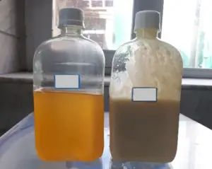 تالو در دو حالت جامد و مایع