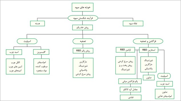 چارت اسید پالمتیک
